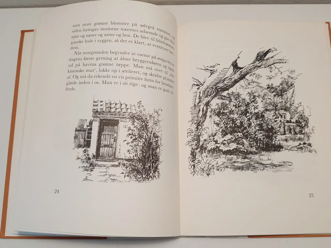 Billede 4 - Alex Secher: En have i skagen. Martins forlag 1976