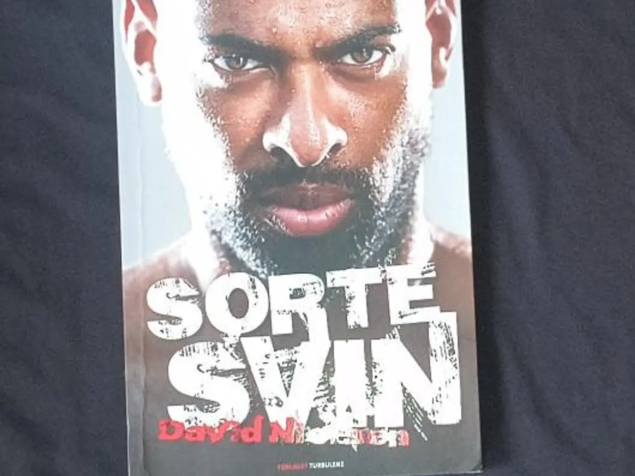 Billede 3 - AGF TSHIRT STR. L OG DAVID NIELSEN "SORTE SVIN"