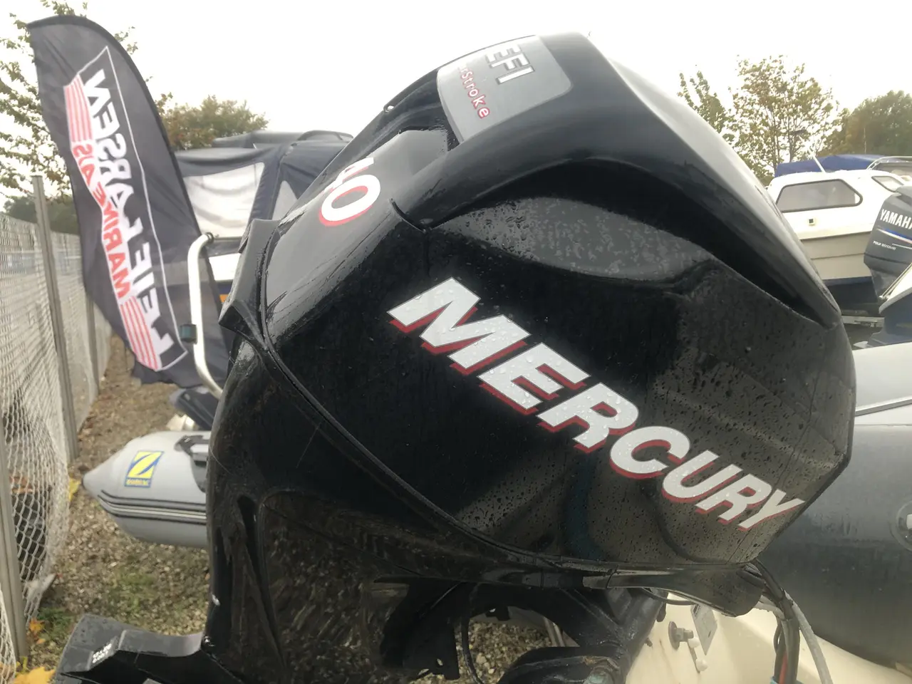 Billede 7 - Mercury 75ELPTO