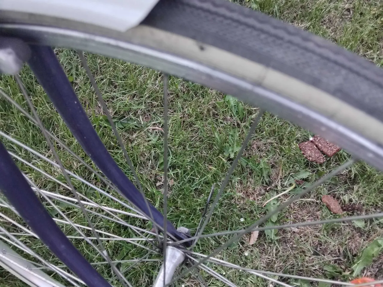Billede 7 - Raleigh