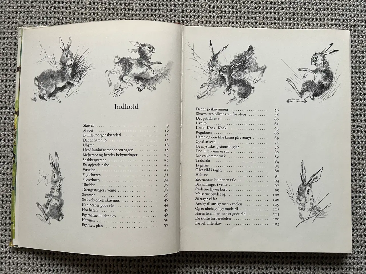 Billede 2 - Haren og den lille kanin på eventyr
