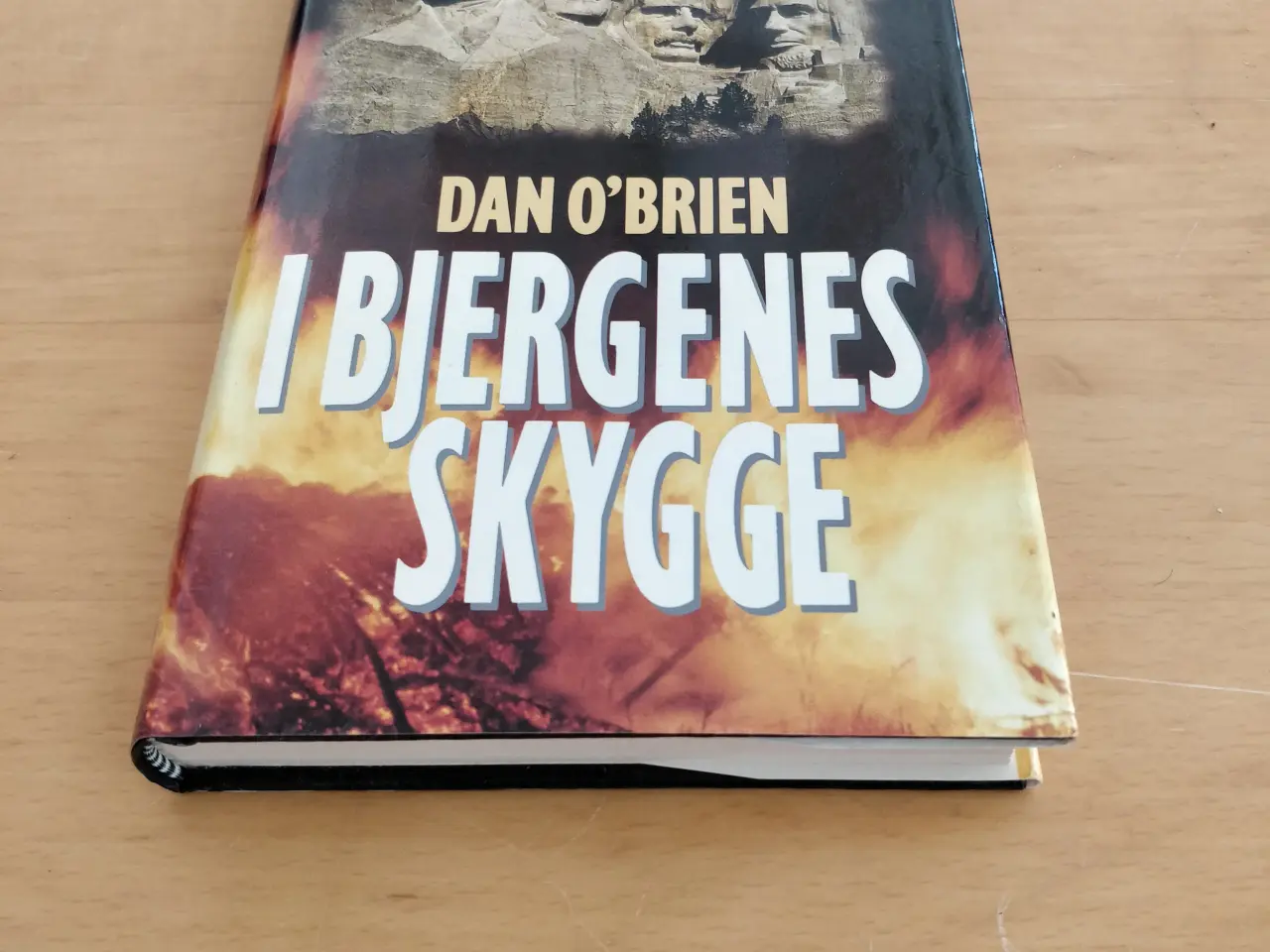 Billede 2 - I bjergenes skygge