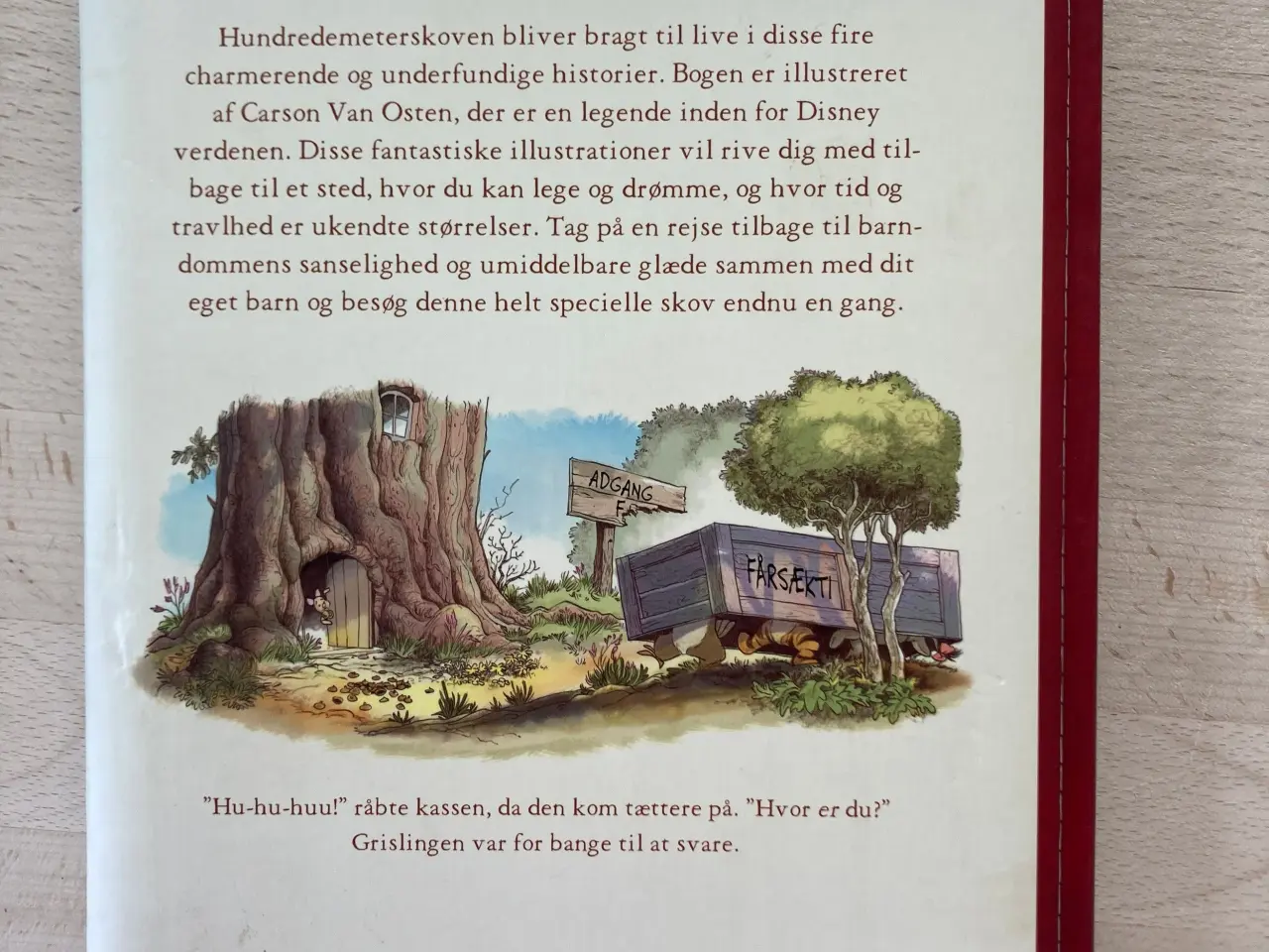 Billede 2 - Peter Plys en eller andens skat, A. A. Milner