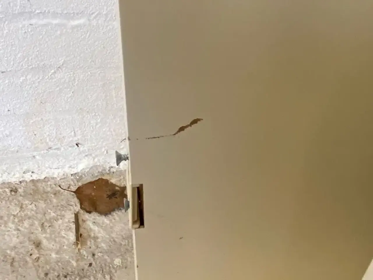 Billede 1 - Swedoor