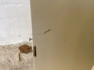 Swedoor