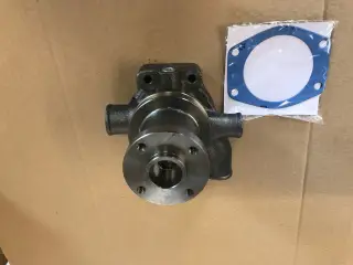 Vandpumpe Dexta