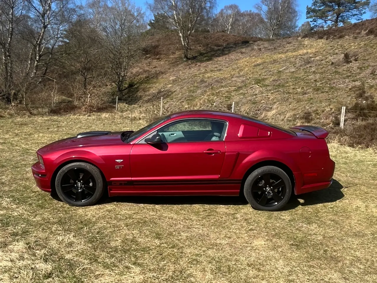 Billede 9 - Ford Mustang GT V8