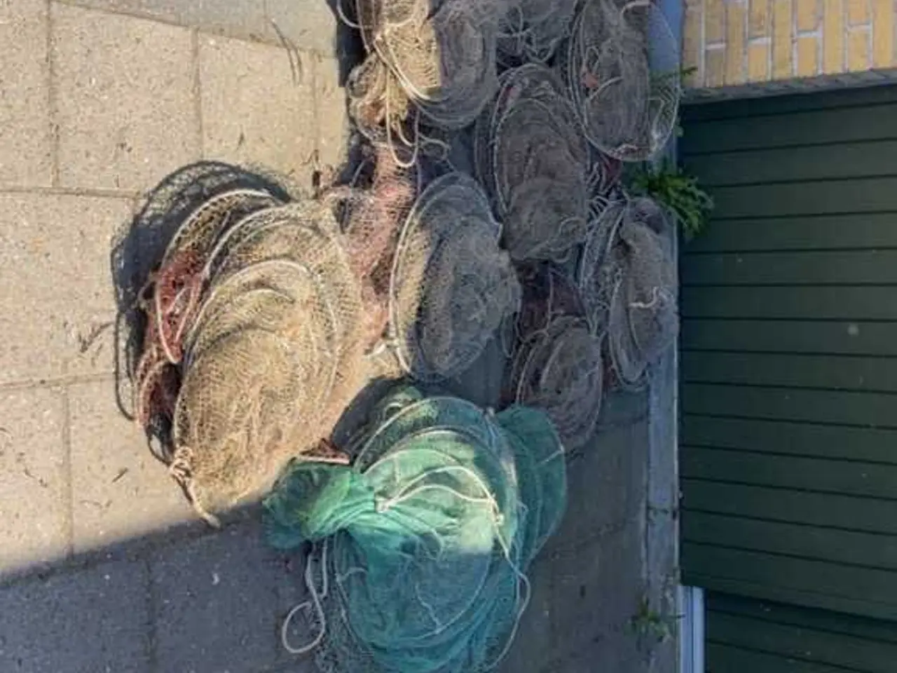 Billede 1 - Åleruser 8 sæt
