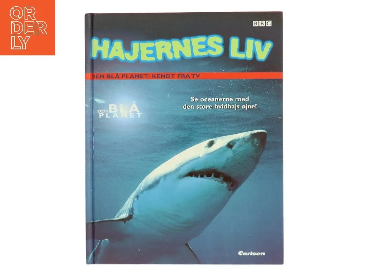 Billede 1 - Hajernes liv af Jinny Johnson (Bog)