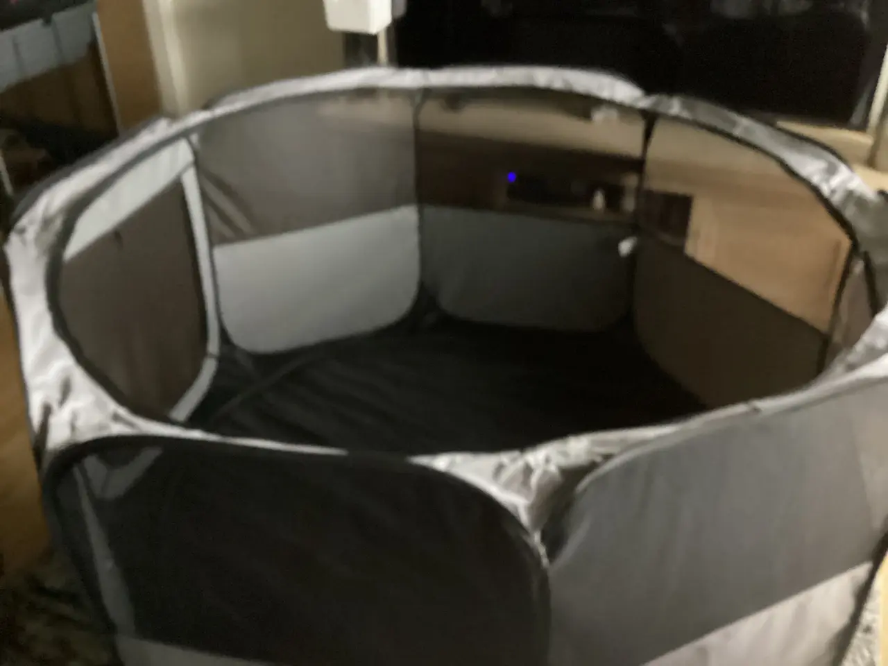 Billede 3 - Hvalpegård 143 ø og 76 cm høj