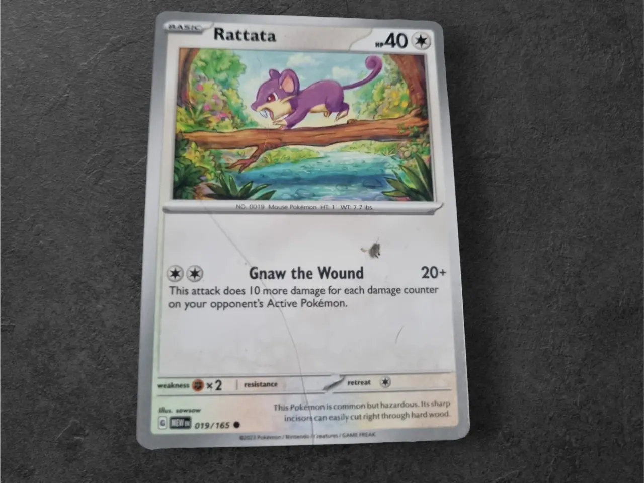 Billede 14 - Annonce 653 - Pokemon