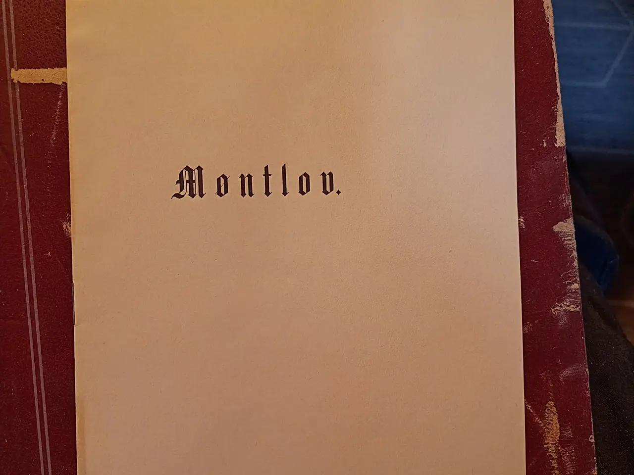 Billede 1 - Møntlov 