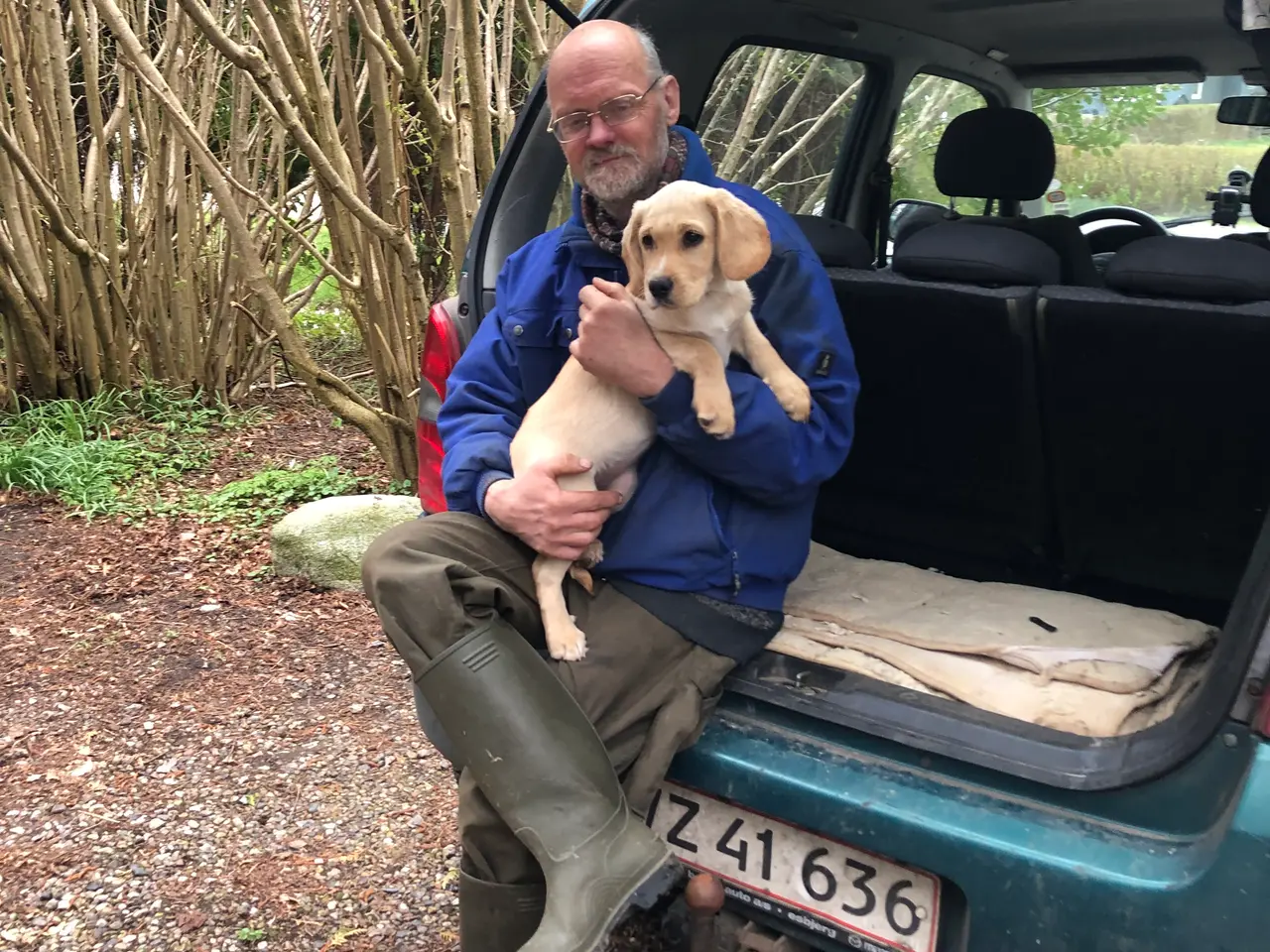 Billede 5 - Go hjem for din hund i ferien.