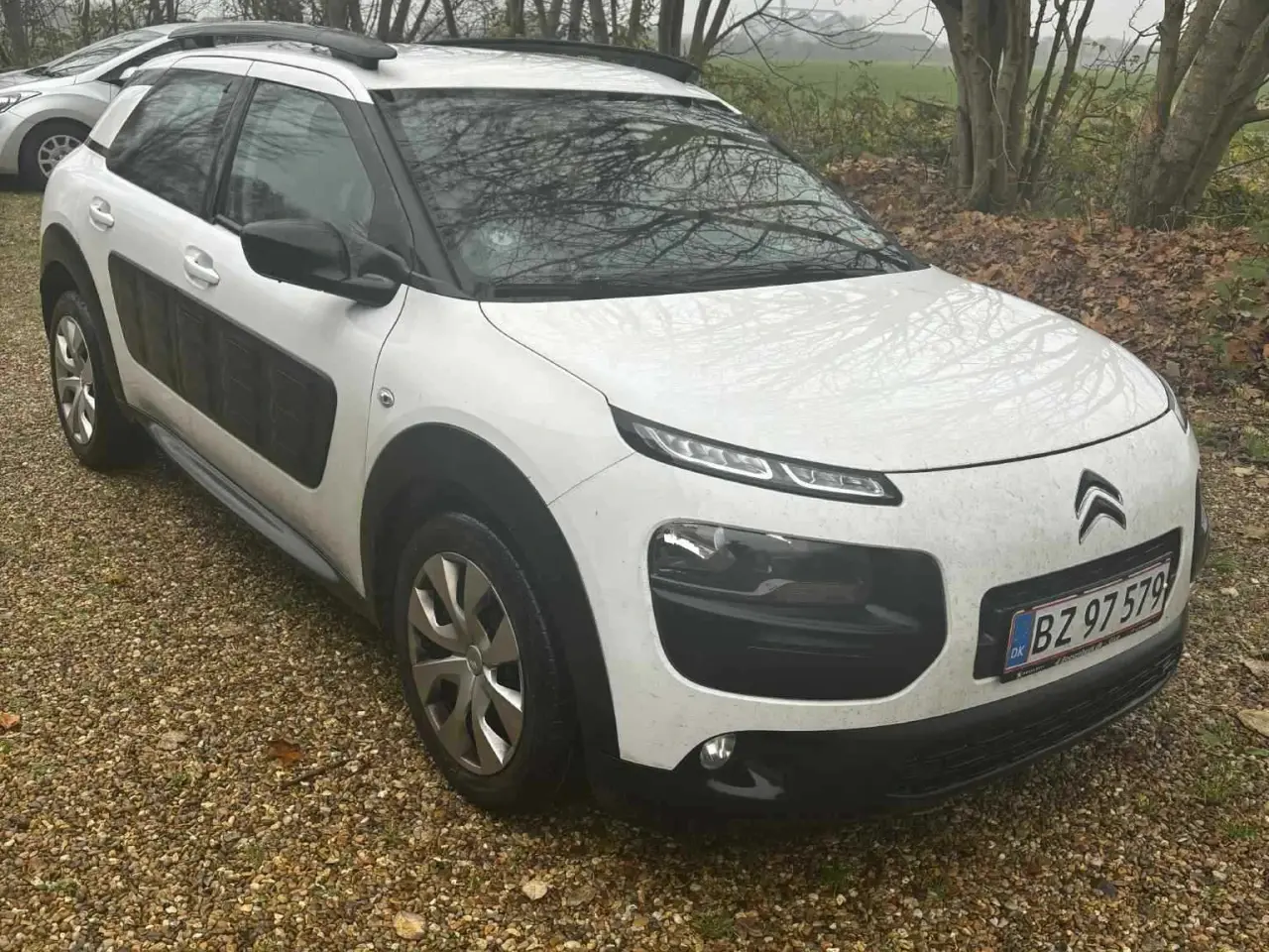 Billede 1 - Citroen c4 cactus