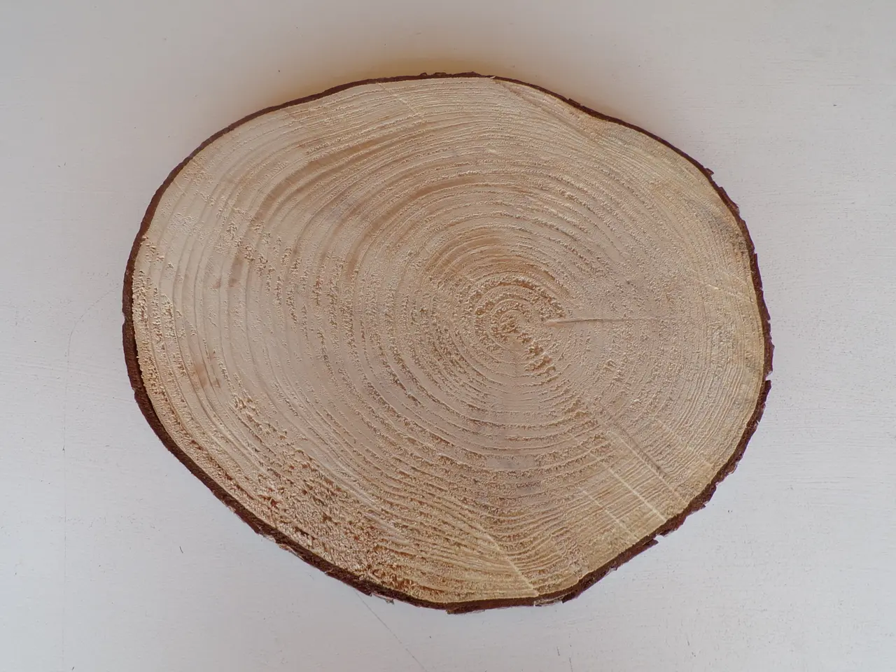 Billede 3 - NY Træskive Rødgran med bark 36,5 cm