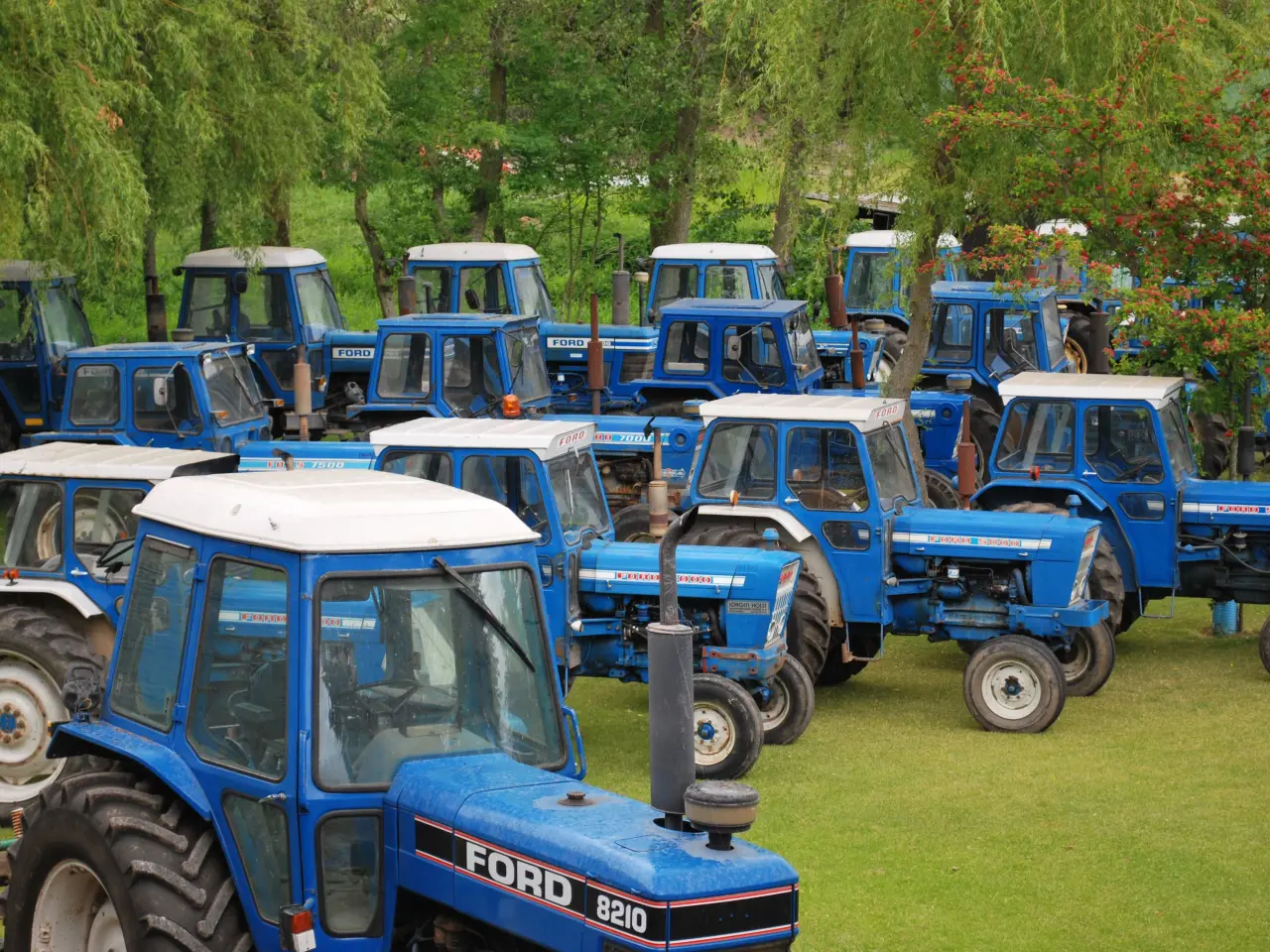 Billede 4 - Ford Traktor Købes Kontant