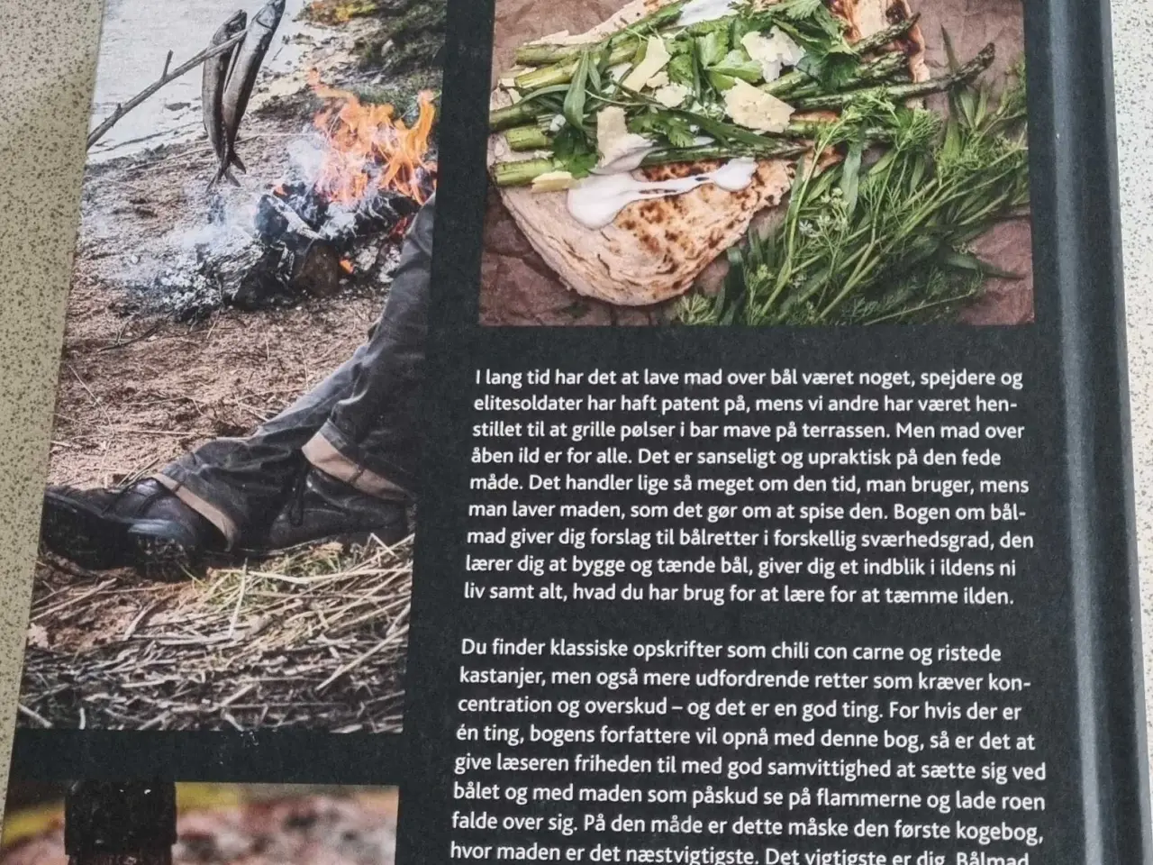 Billede 2 - Bog om bålmad