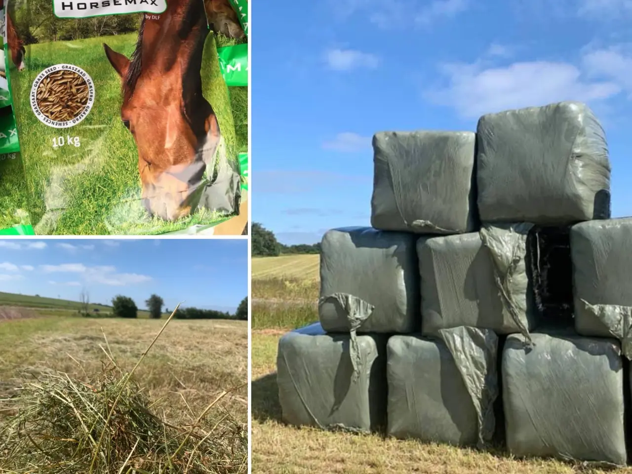 Billede 1 - Heste wrap