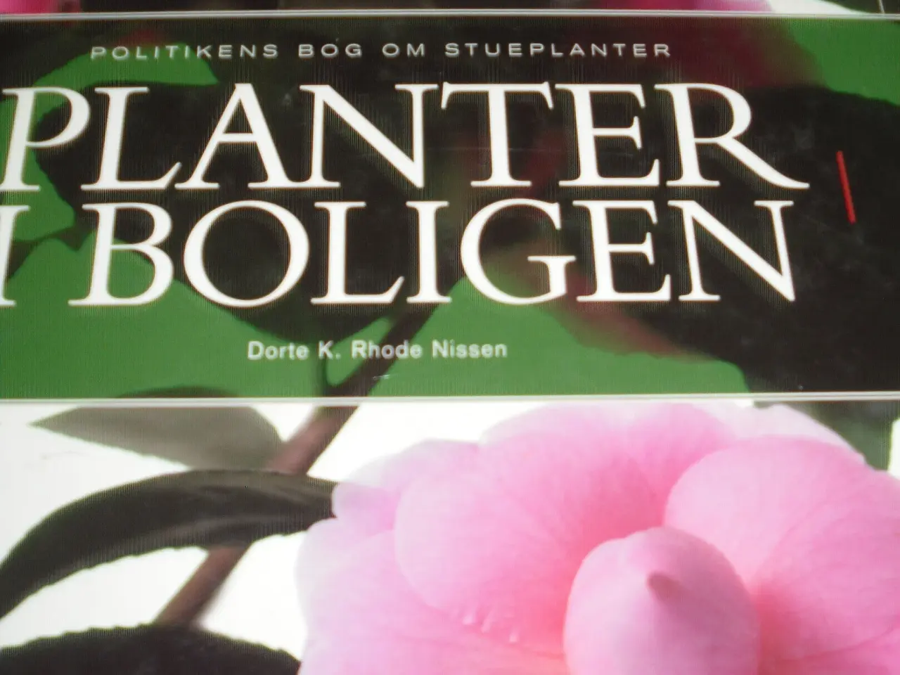 Billede 1 - Politikens bog om STUEPLANTER.