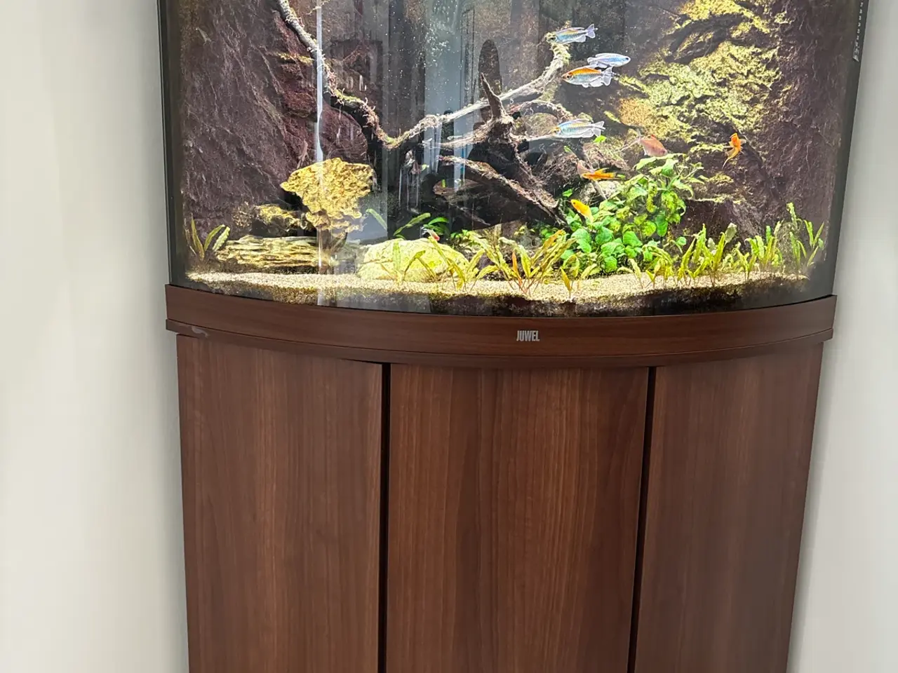 Billede 4 - Juwel hjørneakvarium 190 liter