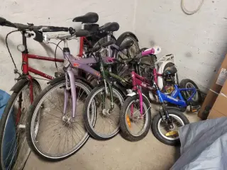 Pige- & Drenge cykler sælges 