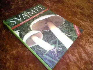 Svampe, R. Lohmeyer, Ute Künkele