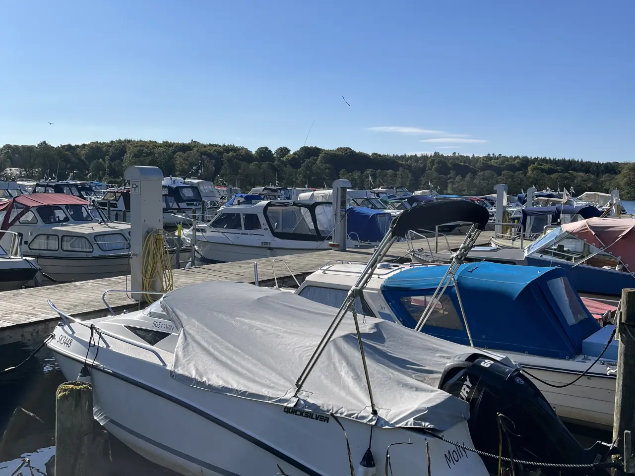 Billede 10 - Motorbåd: QuickSilver Activ 505 Cabin
