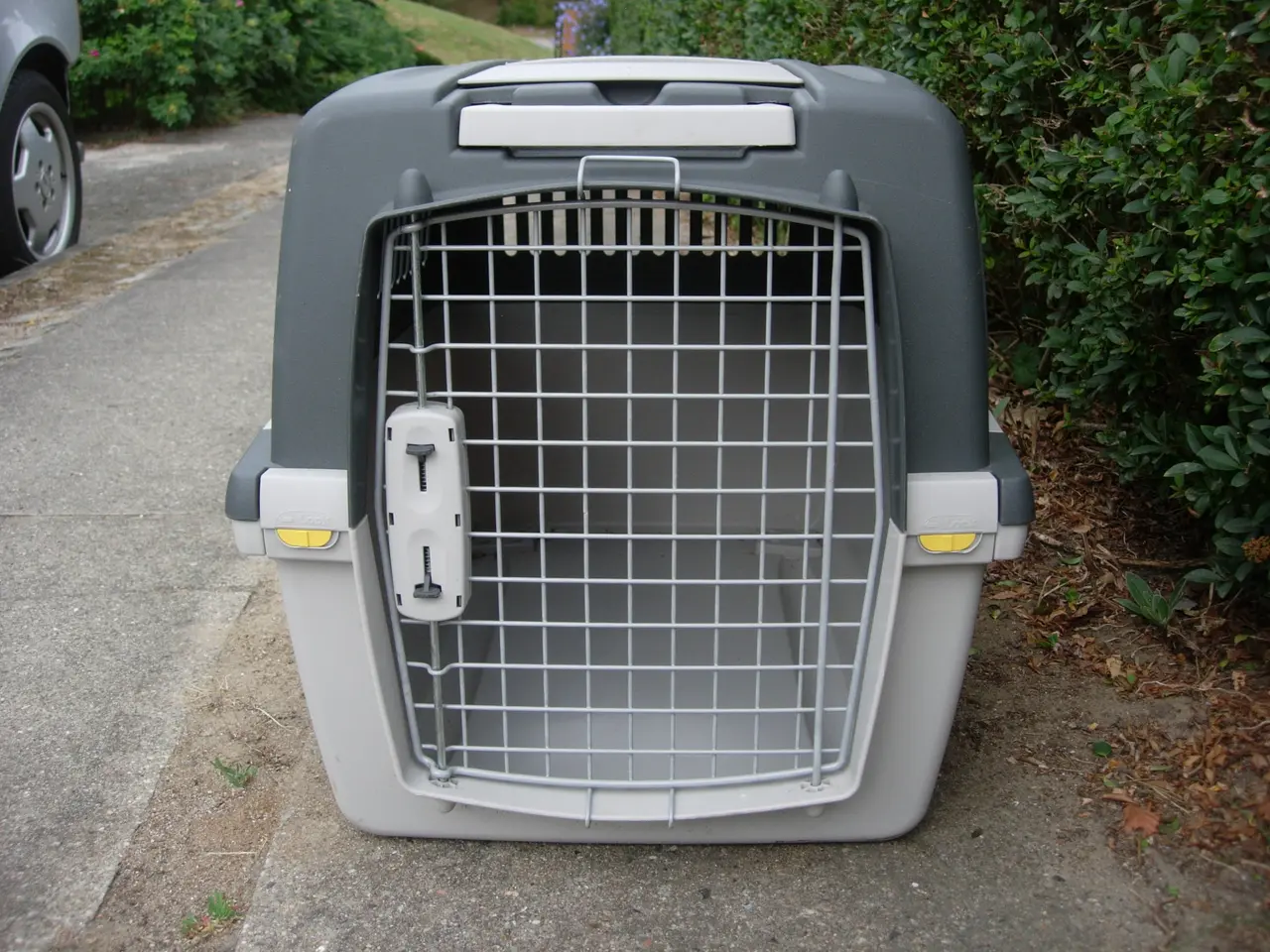 Billede 2 - Stort transportbur til hund/kat