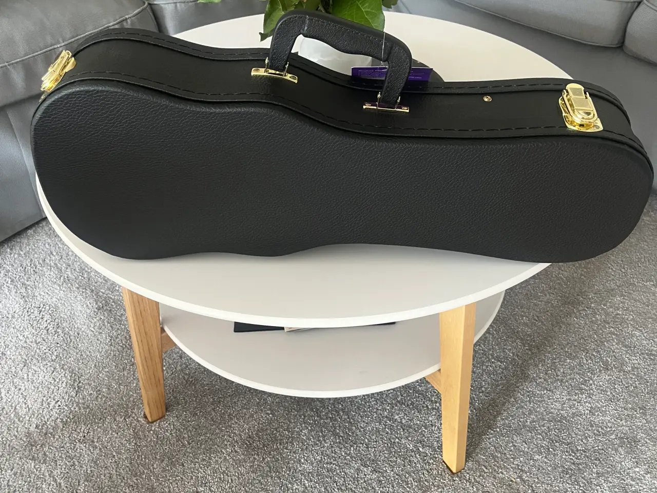 Billede 2 - Foret transportkasse til sopran ukulele 