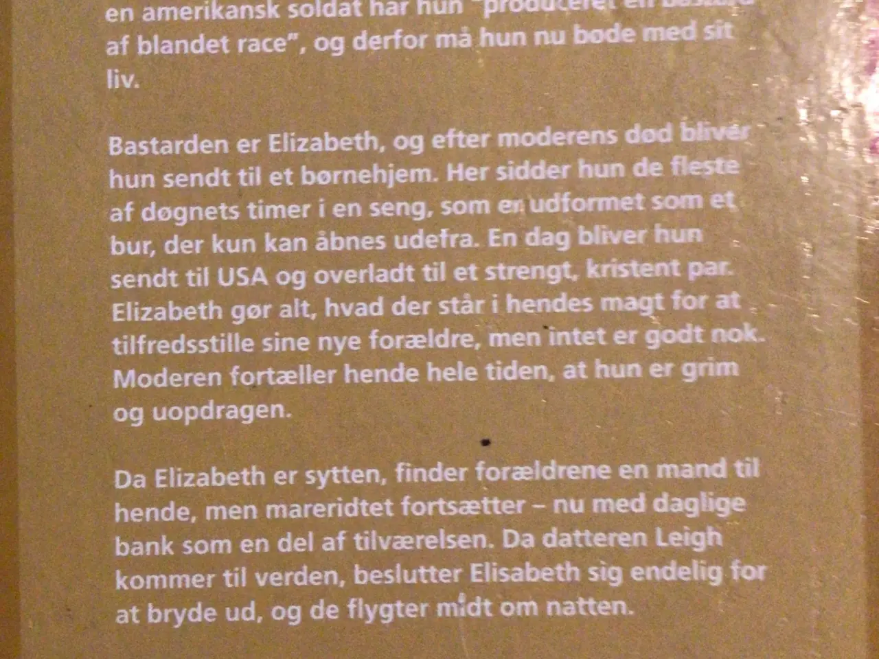 Billede 12 - Virkelighedens verden : se billeder