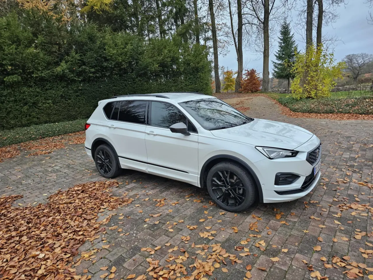 Billede 3 - Seat tarraco