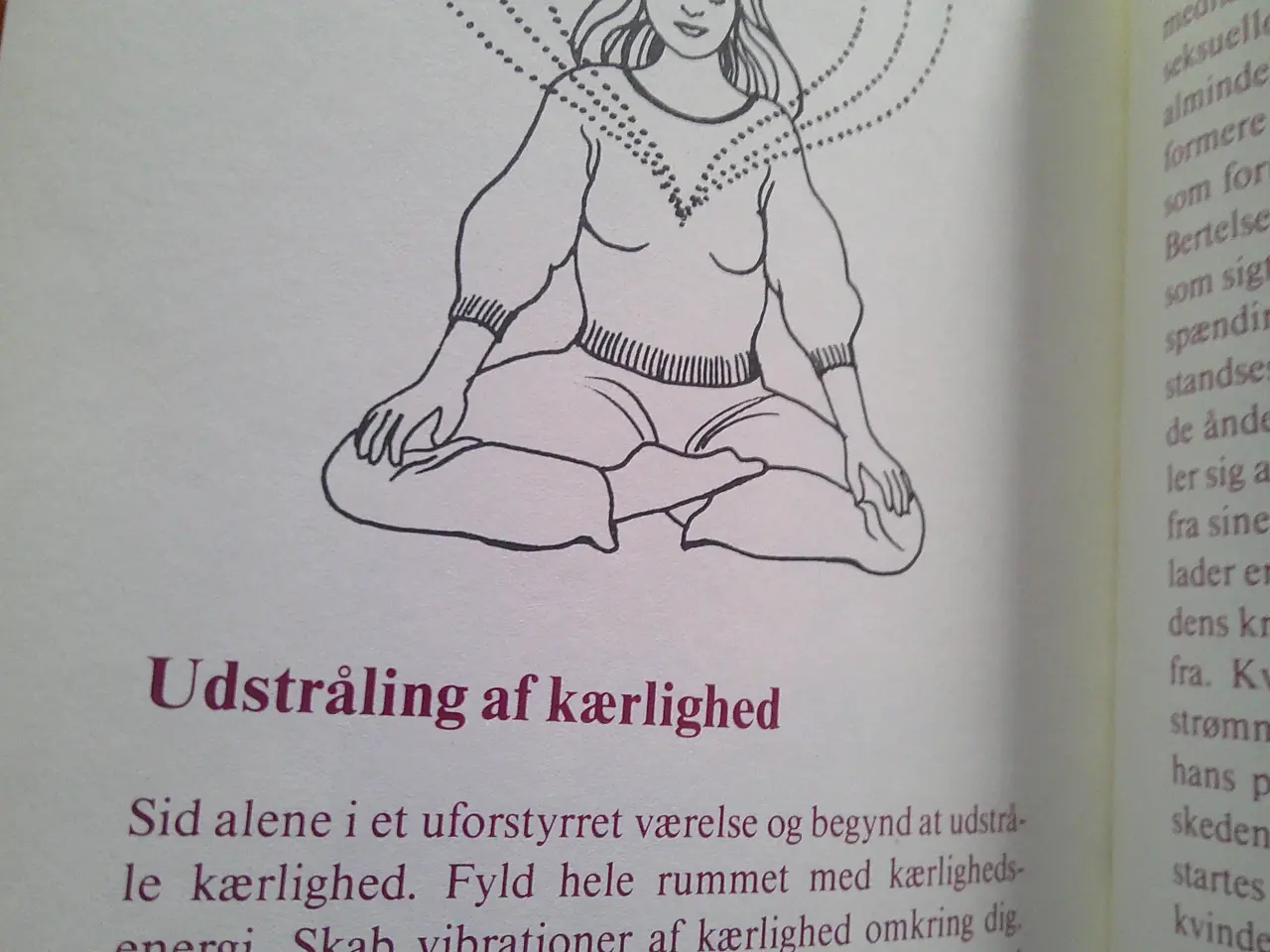 Billede 3 - Fornøjelige bevidsthedsøvelser, Deva Satyarthi