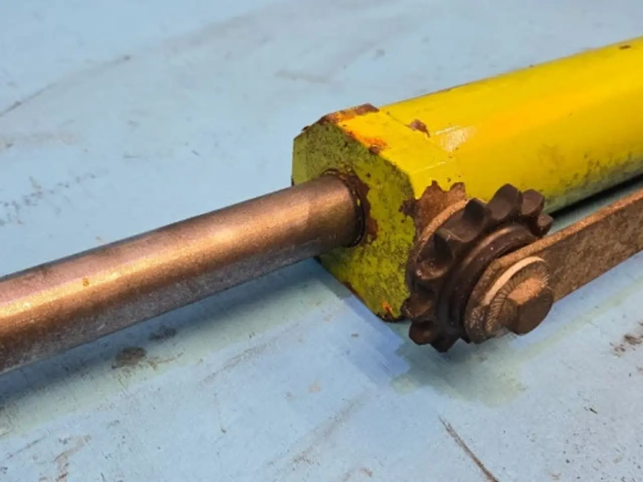 Billede 12 - Claas Jaguar 850 Cylinder 9878592