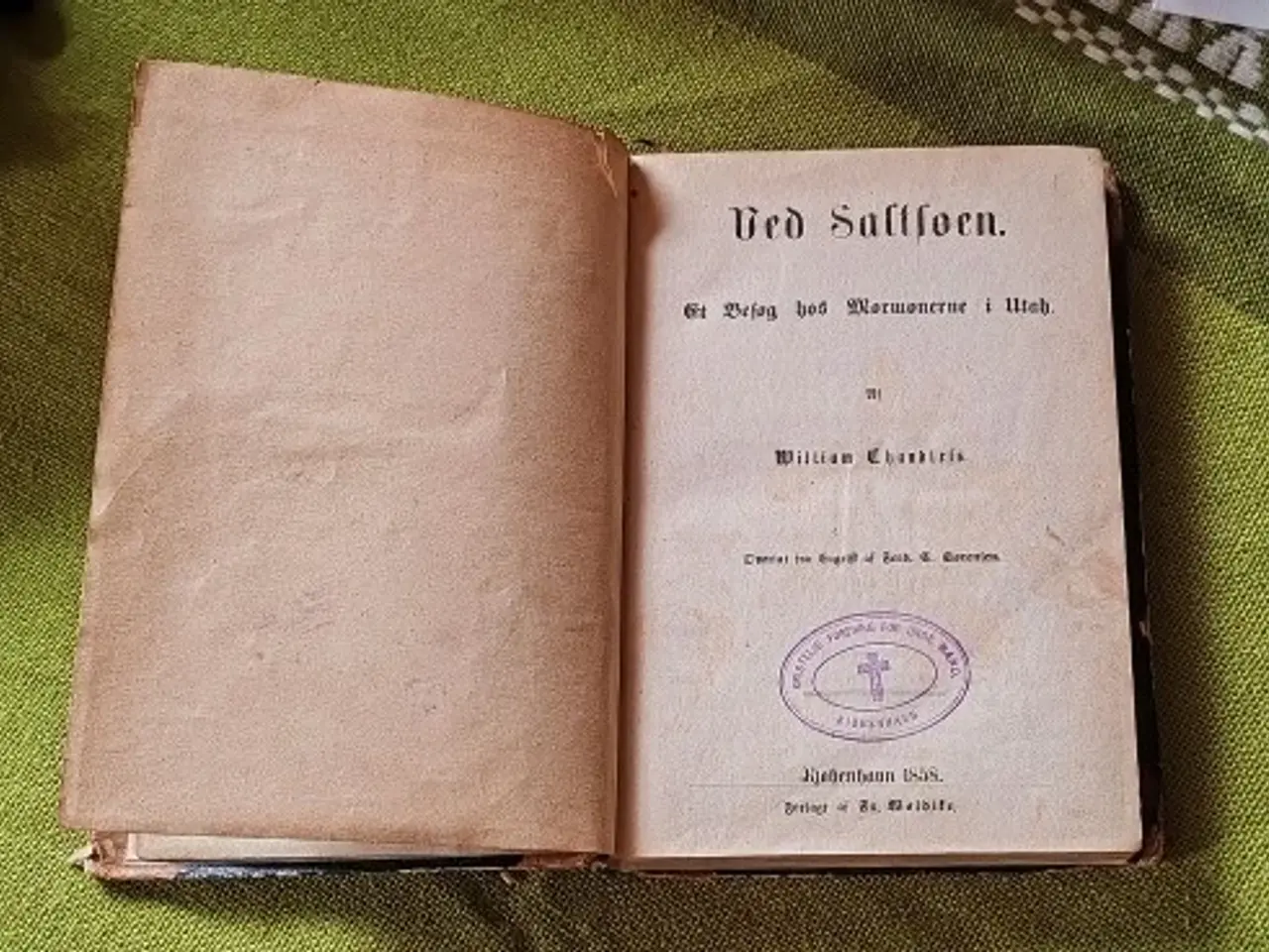 Billede 2 - William Chandless: Ved Saltsøen