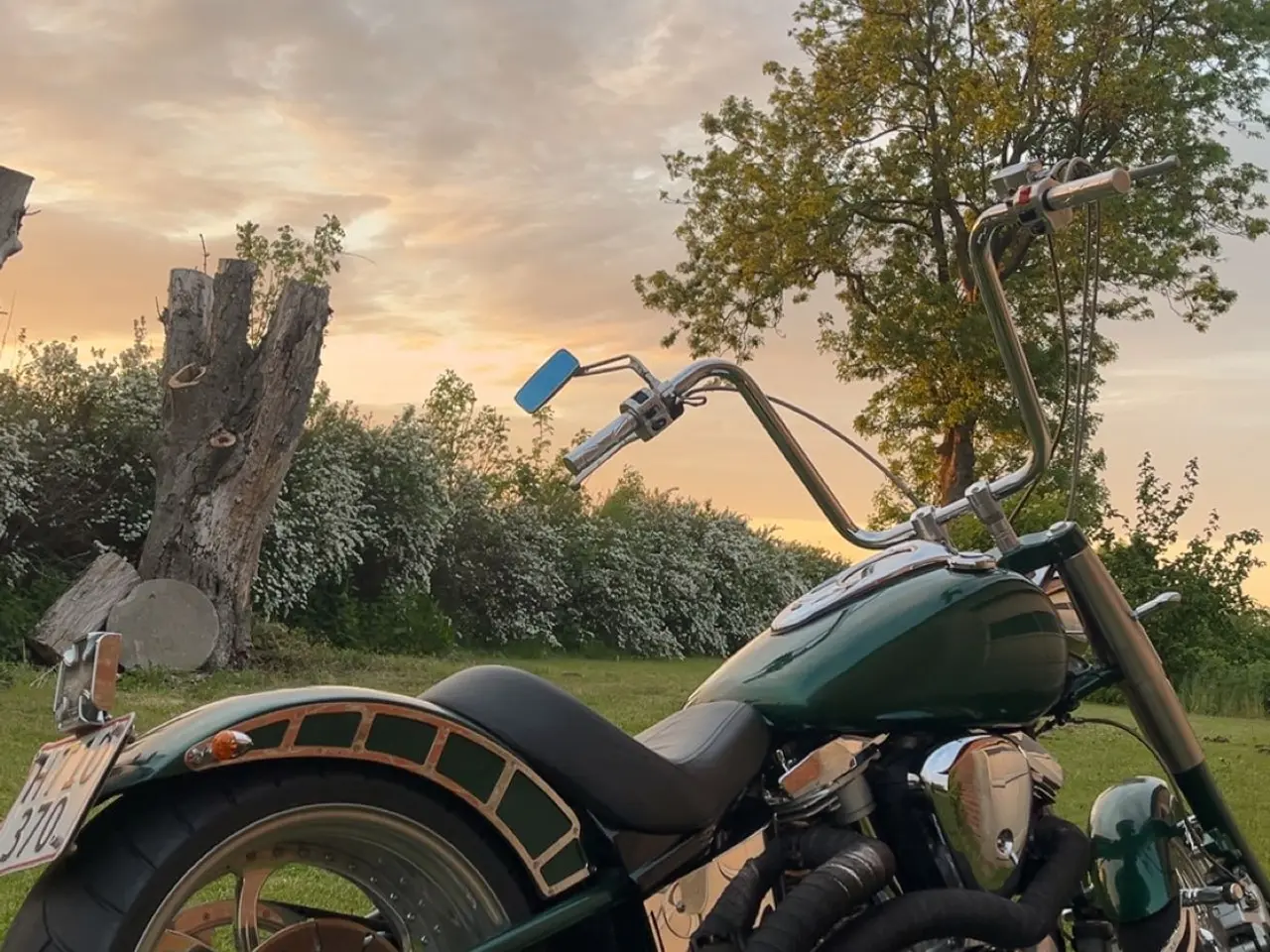 Billede 6 - Yamaha XV 1600 Wildstar – Unik Custom Cruiser