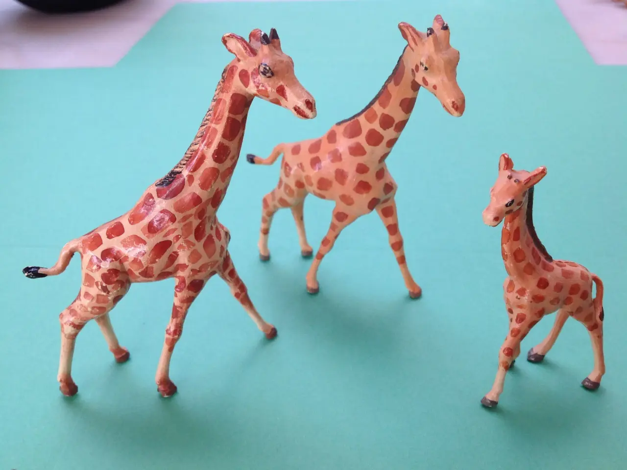 Billede 4 - Spændende zoologiske dyr.