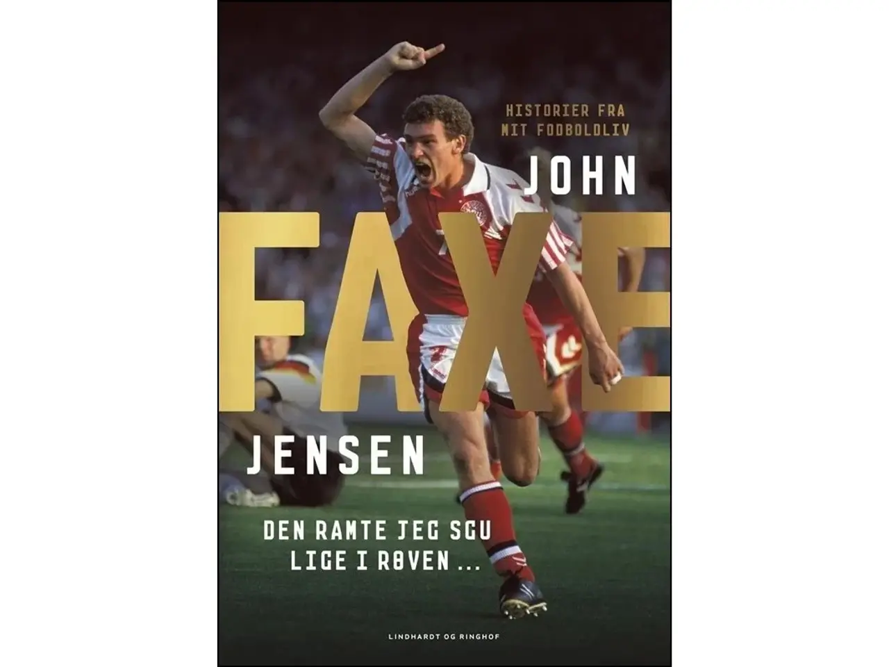 Billede 1 - Faxe - Den ramte jeg sgu lige i røven ...