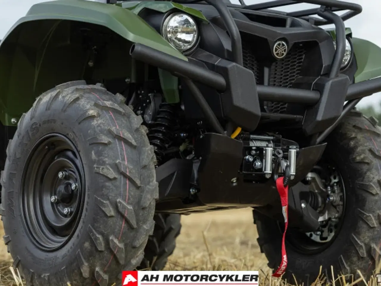 Billede 18 - Yamaha Kodiak 700 EPS STD