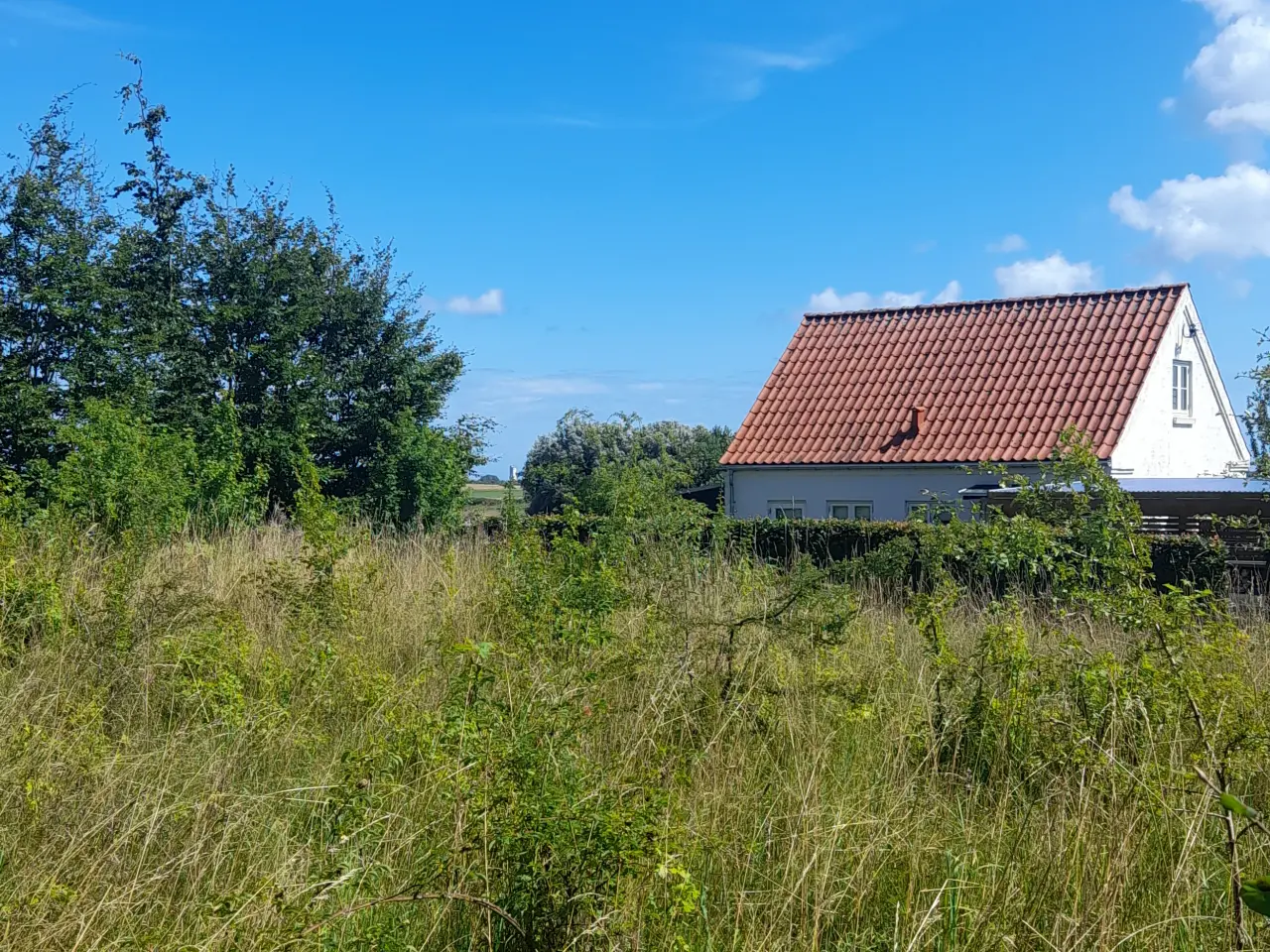 Billede 2 - Bygge grund