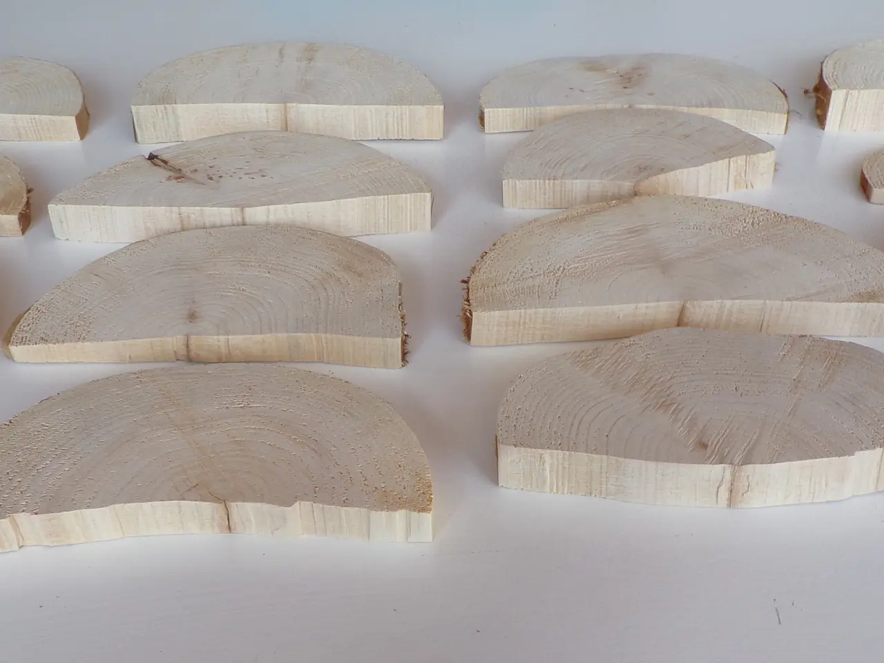 Billede 2 - 17 NYE halve Thuja Træskiver uden bark 13,5-18 cm