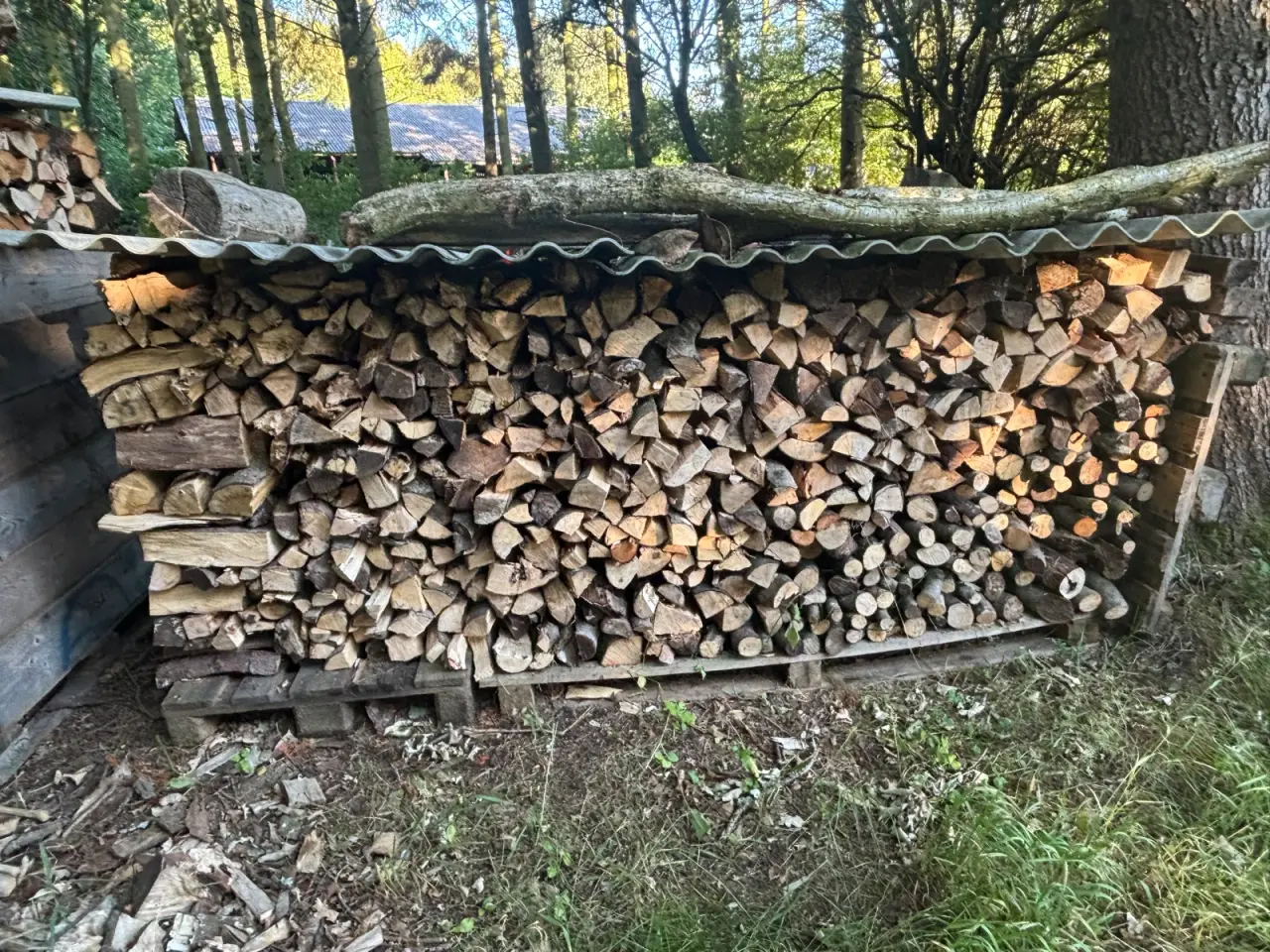 Billede 1 - Brænde