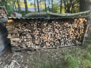 Brænde
