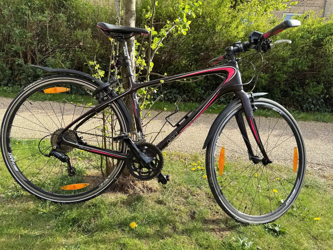 Billede 1 - Giant Thrive Composite - dame