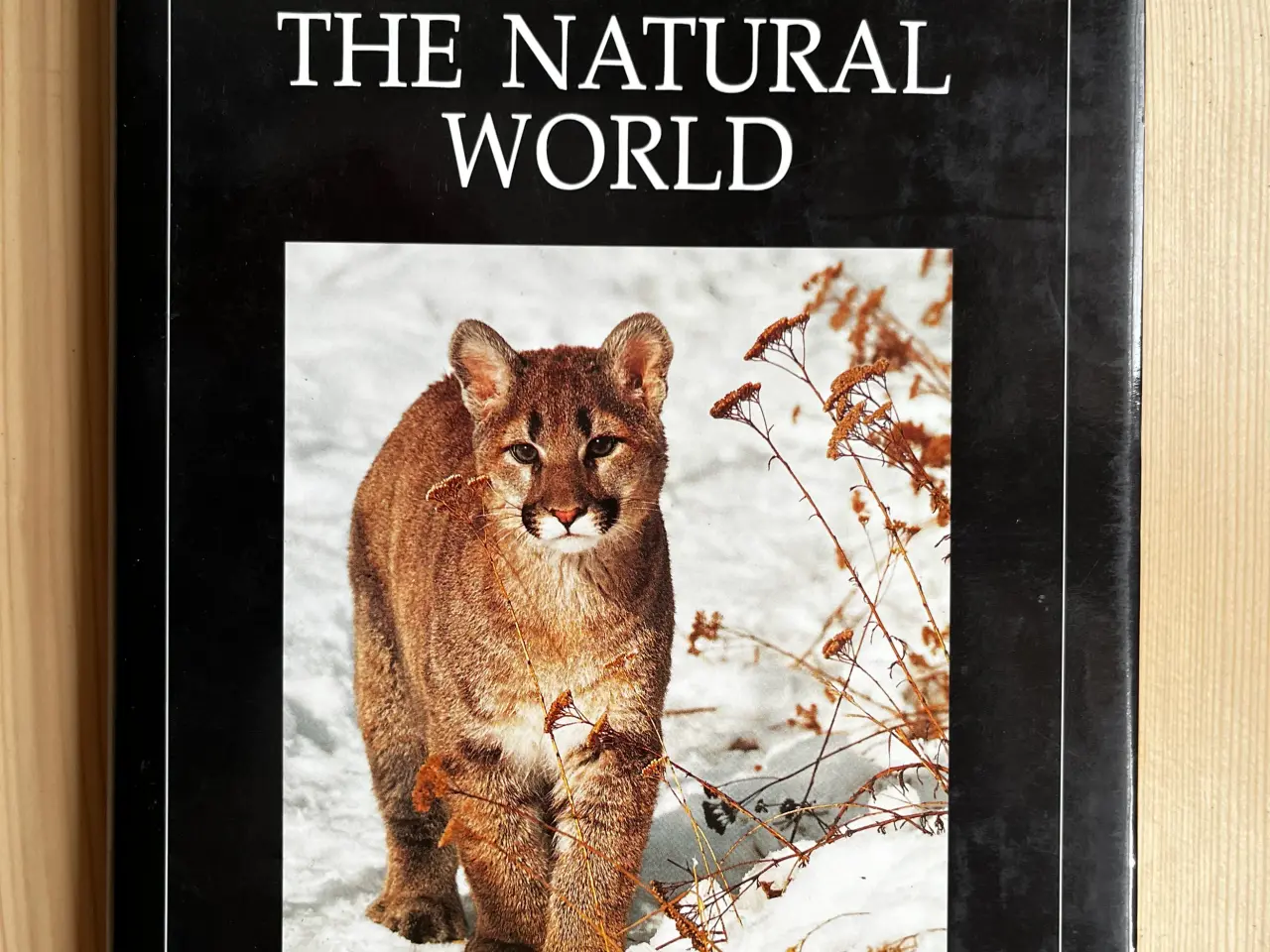 Billede 12 - Bøger om naturfotografering