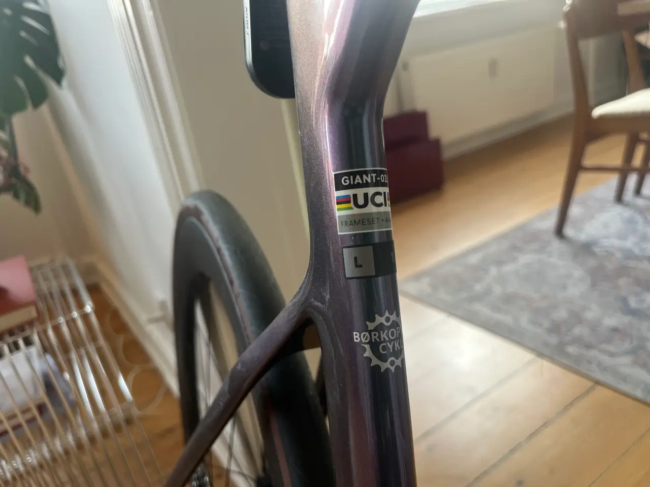 Billede 8 - Giant Propel 2025