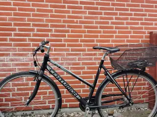 Flot cykel