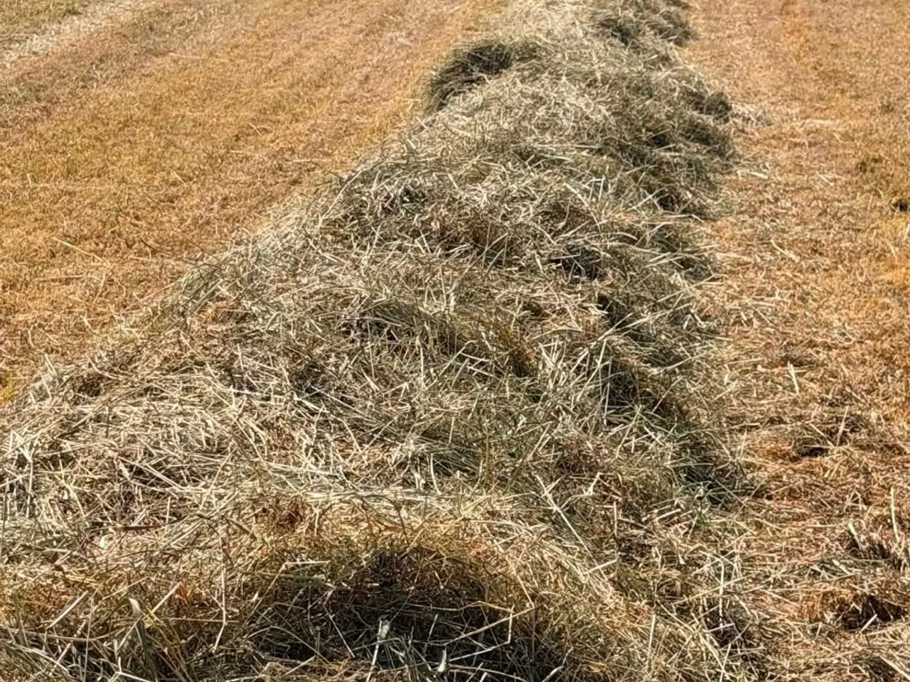 Billede 2 - Dietwrap til heste m. Analyse