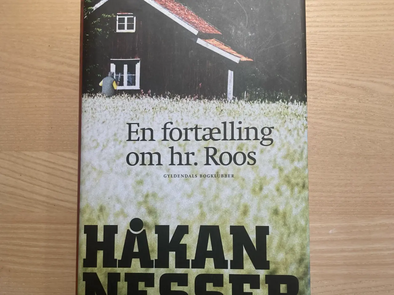 Billede 1 - En fortælling om hr. Roos. Roman af Håkan Nesser