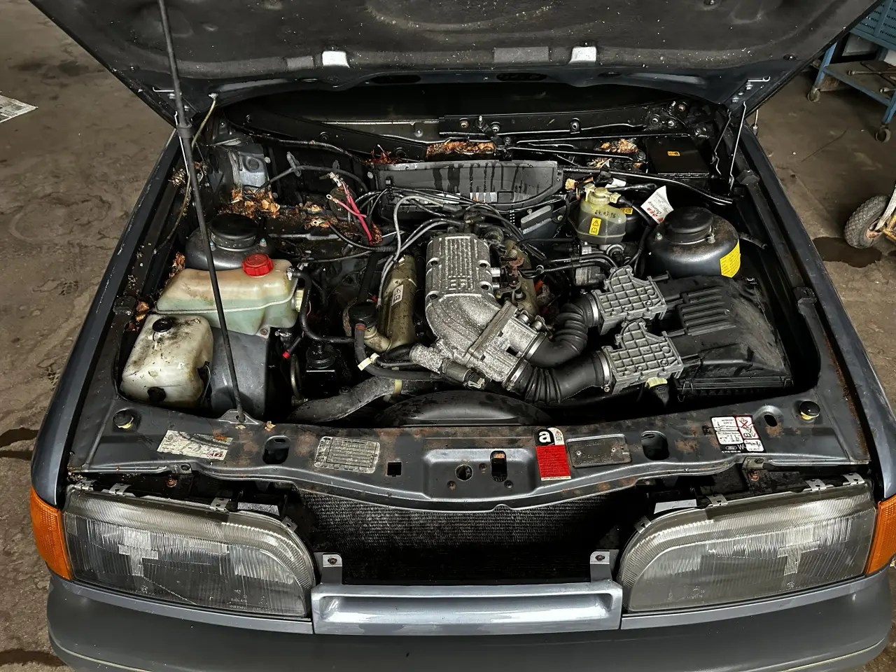 Billede 1 - FORD Cologne 2,4 EFI V6 (prisfald)