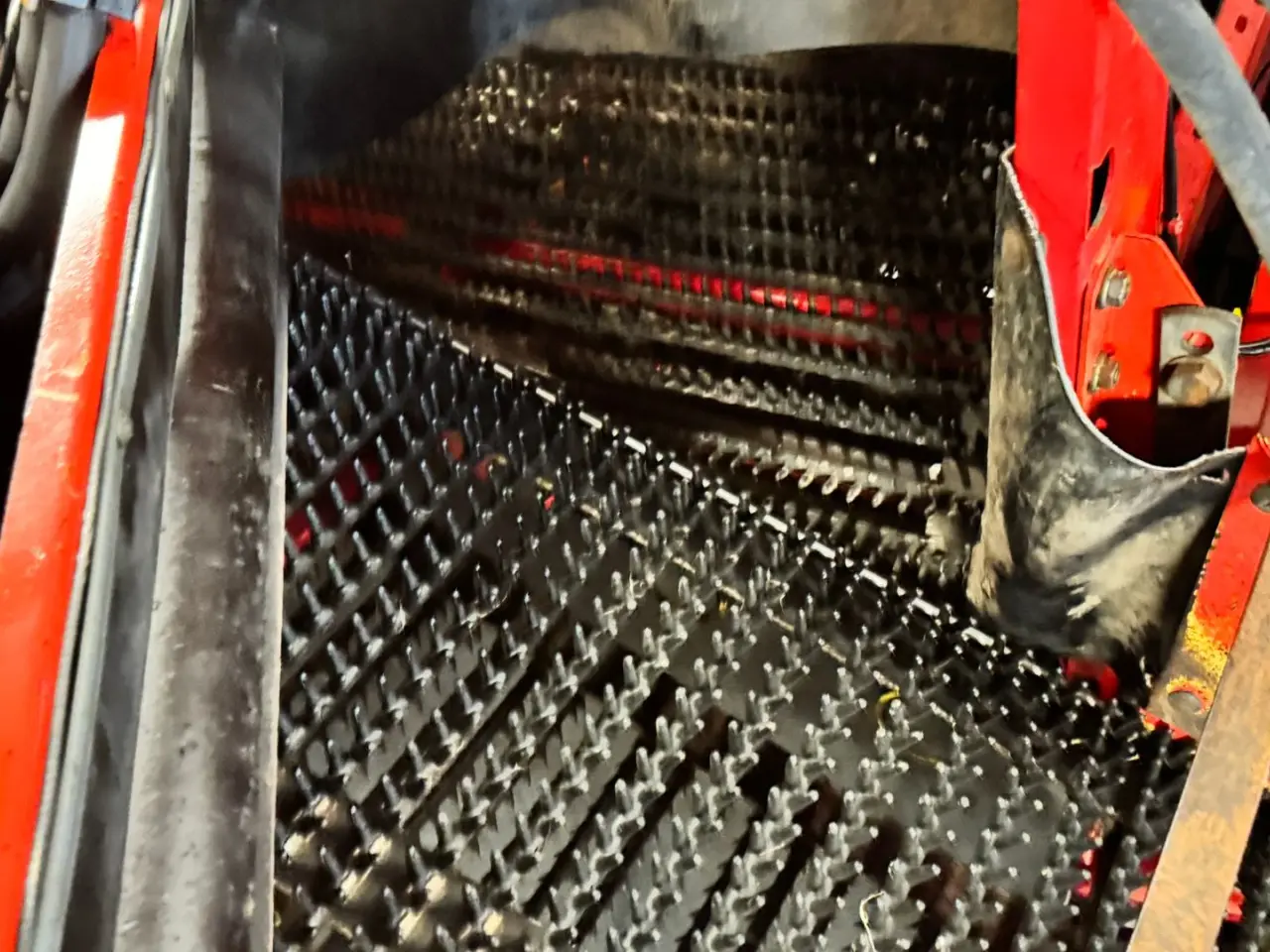 Billede 18 - Grimme SE 150-60